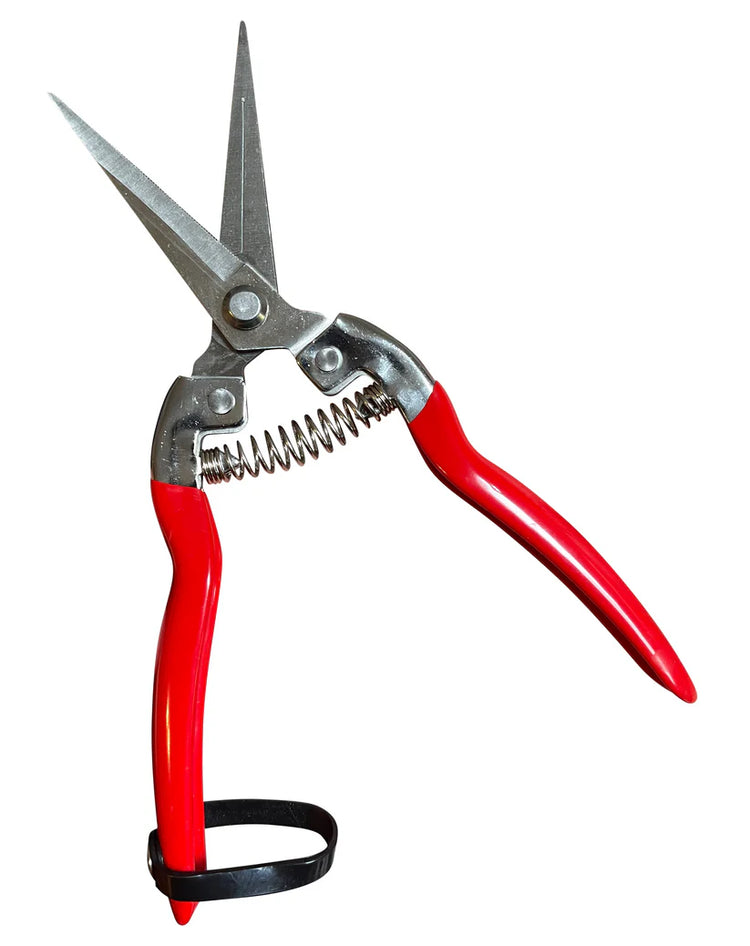 Garden Guru Snips