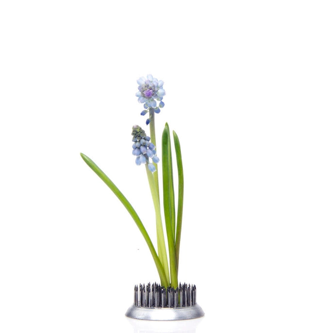 Ikebana Pin frog