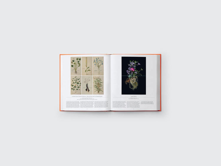 Flower Exploring The World In Bloom Book