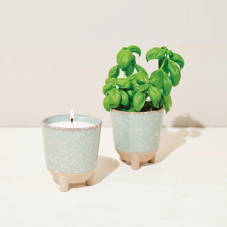 Glow & Grow Candle