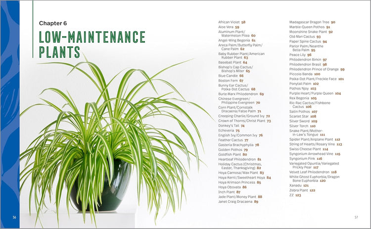 Houseplants for Beginners Book