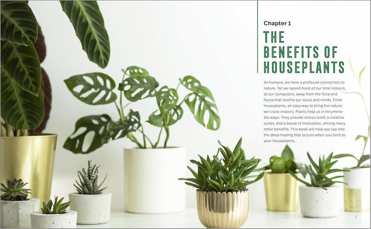 Houseplants for Beginners Book