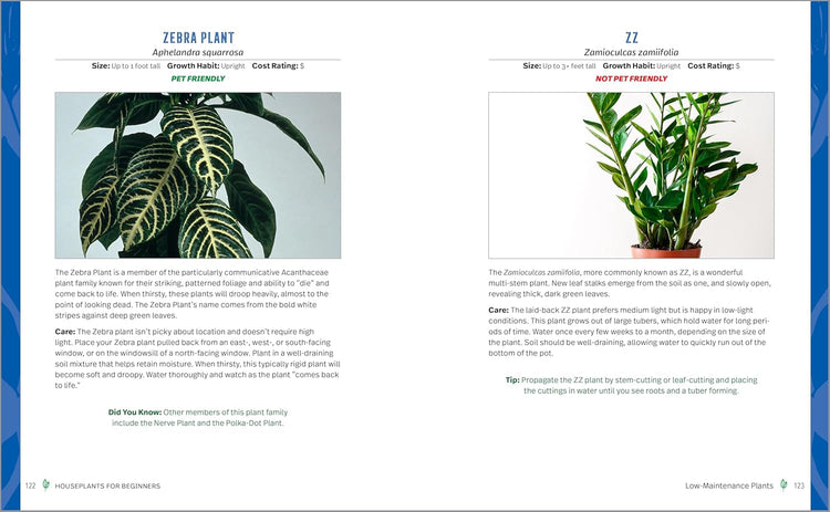 Houseplants for Beginners Book
