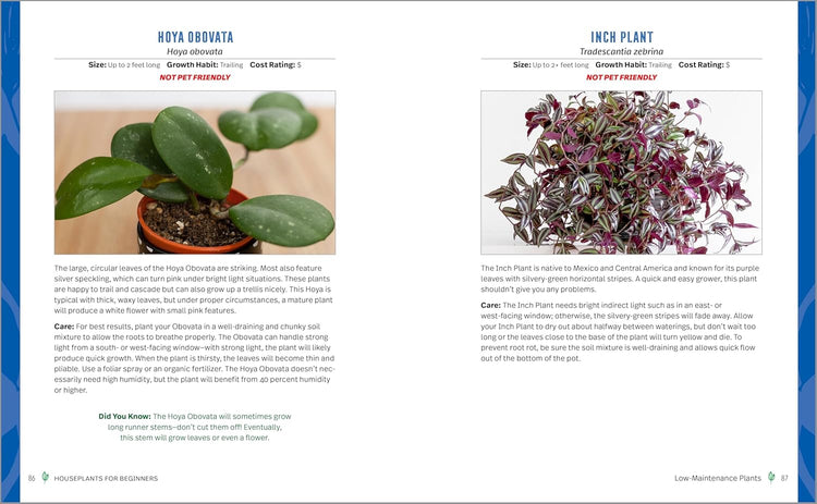 Houseplants for Beginners Book