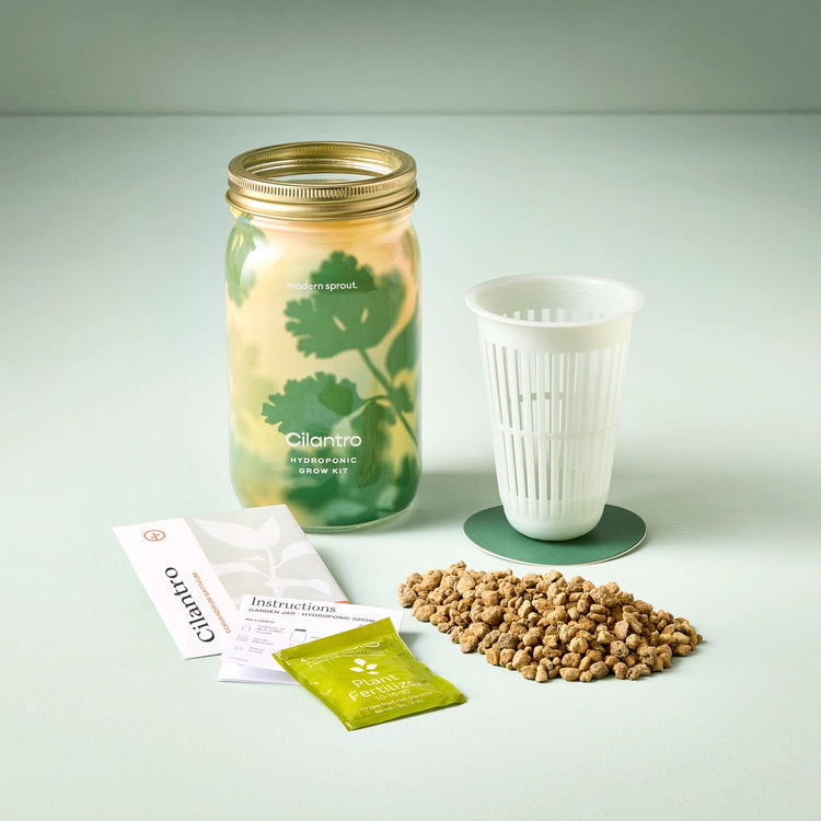 Modern Sprout Grow Kit