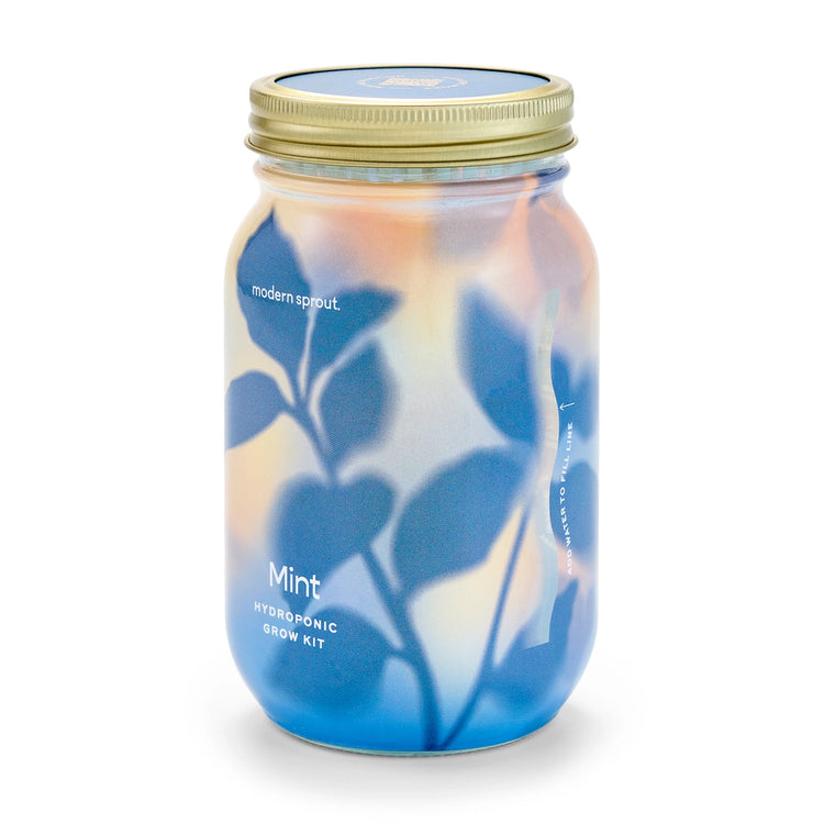 Modern Sprout Grow Kit