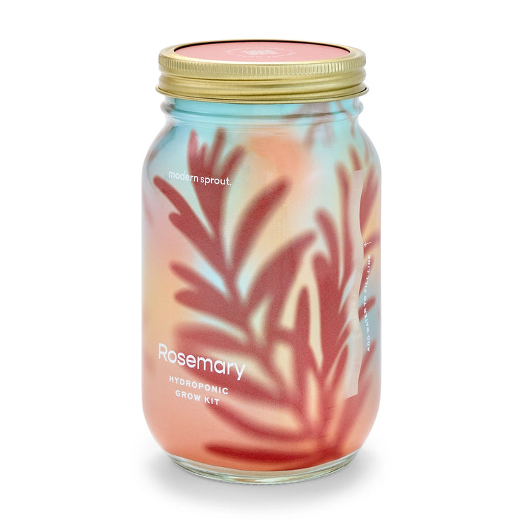 Modern Sprout Grow Kit