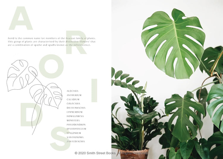 Plantopedia Book
