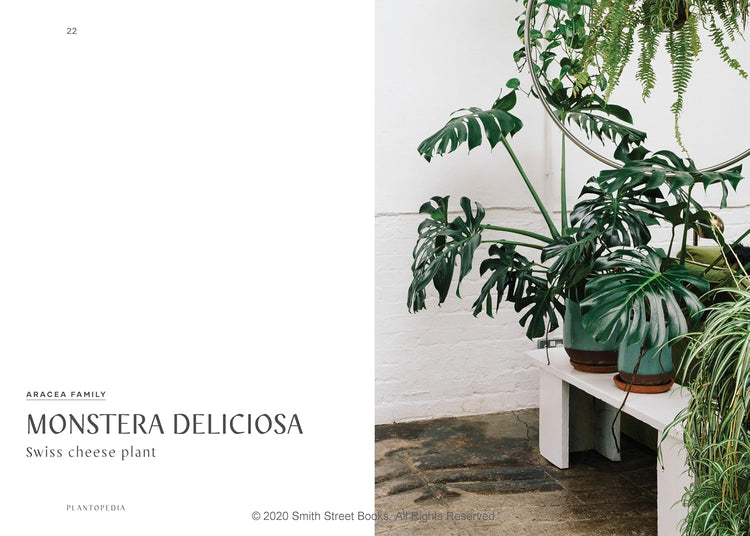 Plantopedia Book