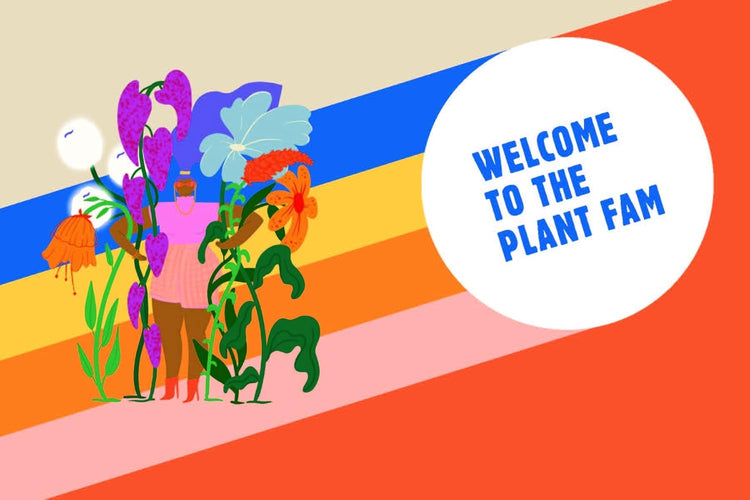 Plants Are My Favorite People Book