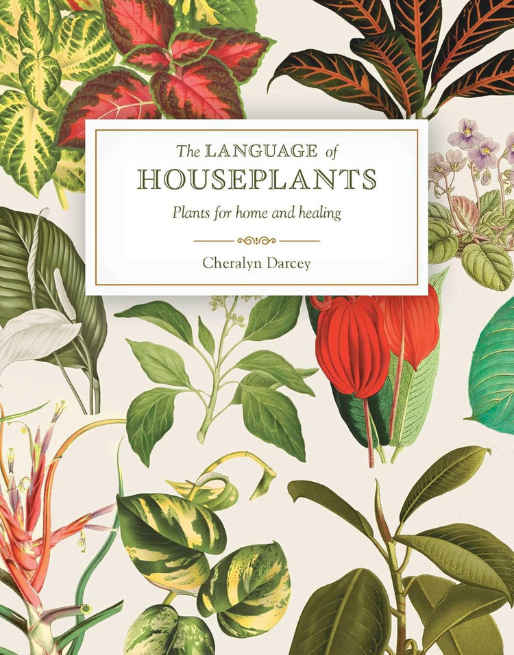 The Language of House Plants Book