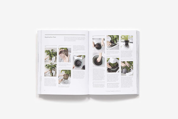 The New Plant Parent Book
