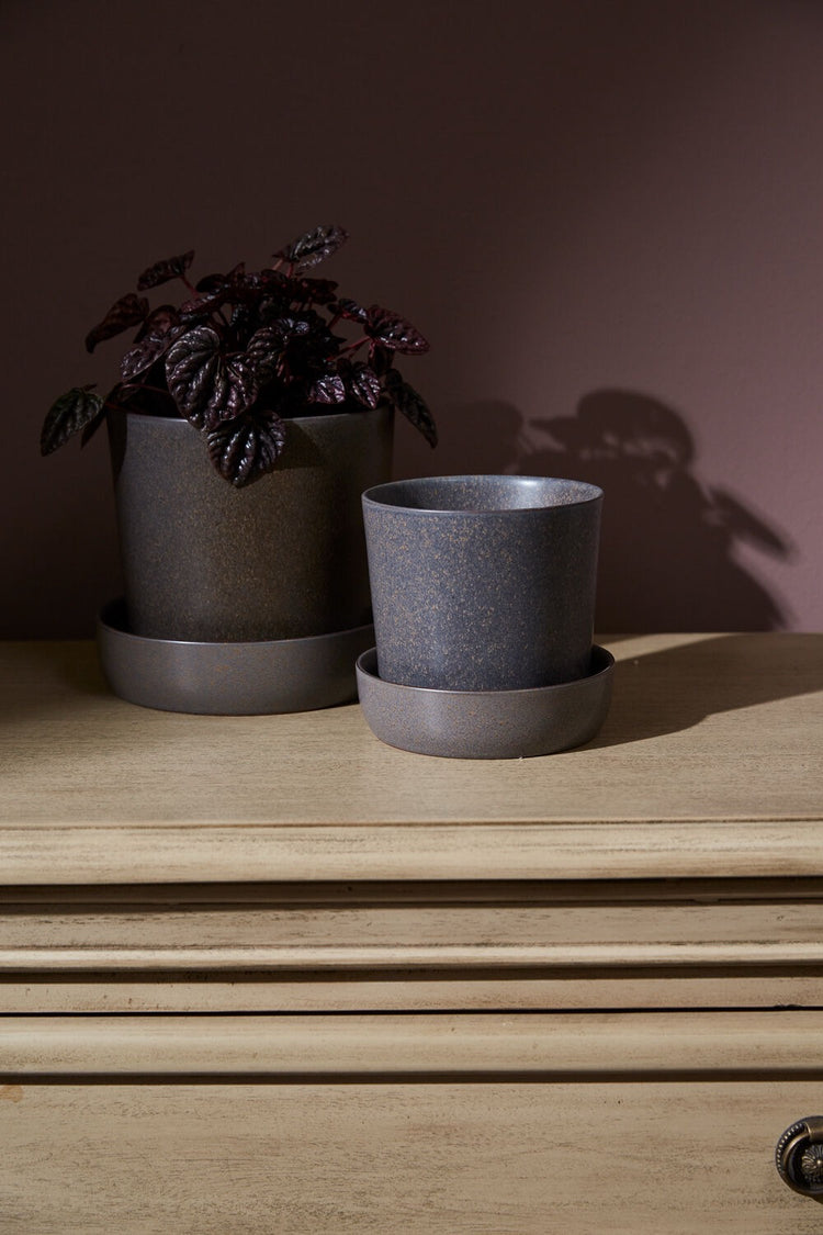 Watson Pot with Saucer Black