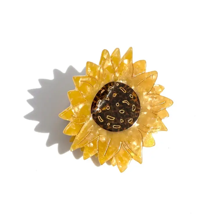 Solar Eclipse Hair Clip