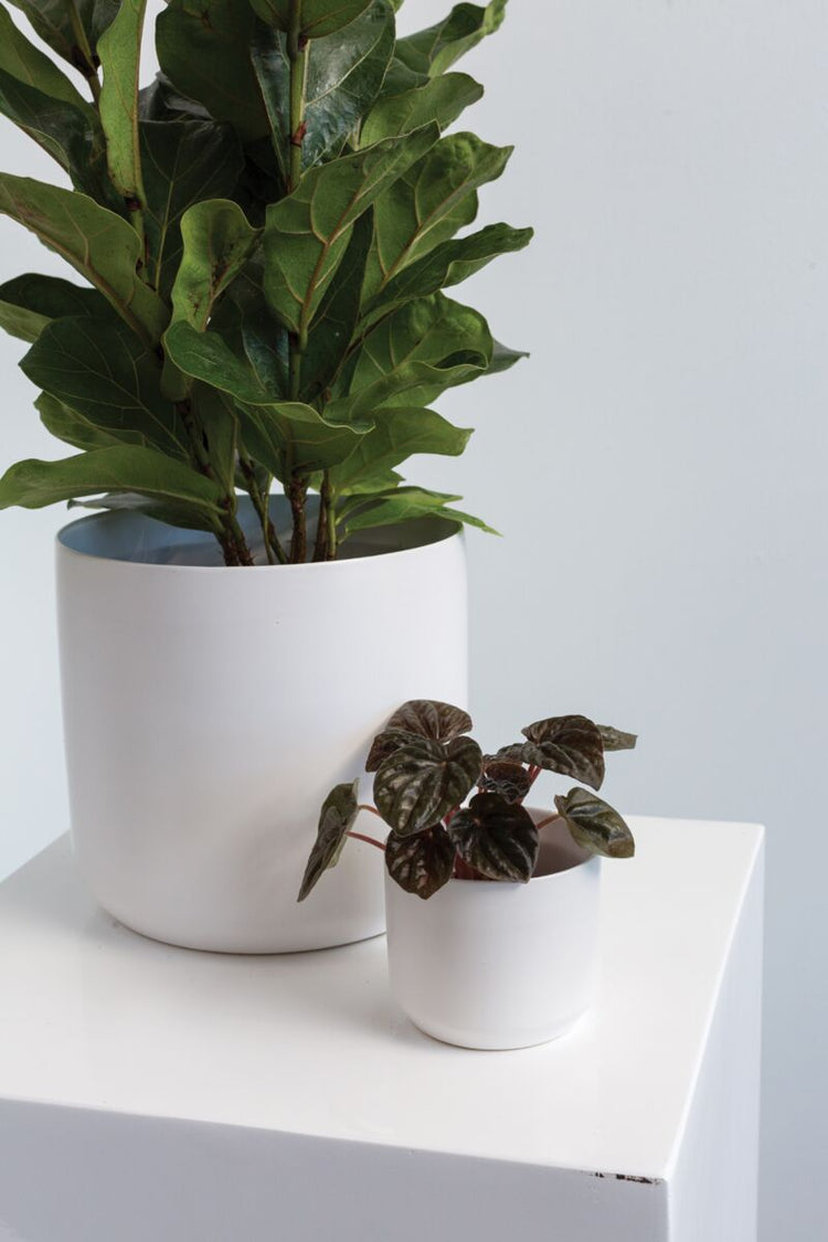 Kendall Pot White