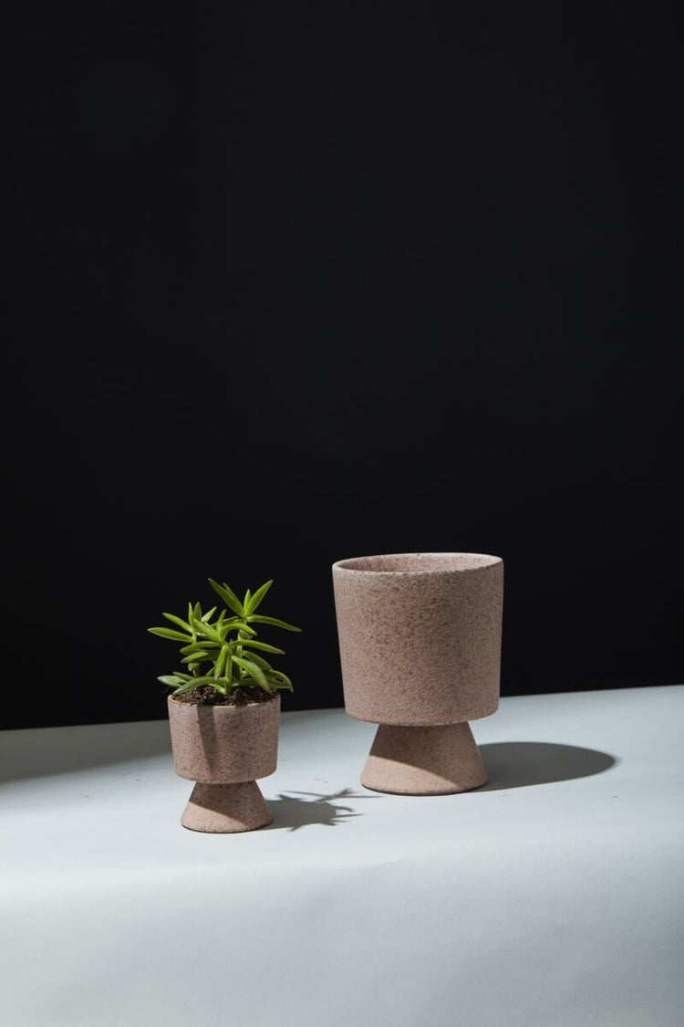 Two ceramic planters with a small plant on a white surface against a black background