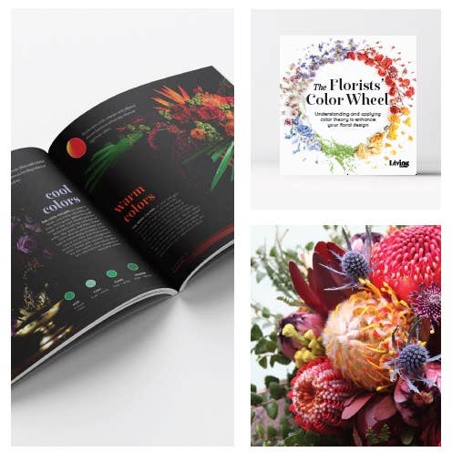 Florists' Color Wheel: A Guide to Floral Design Color Theory