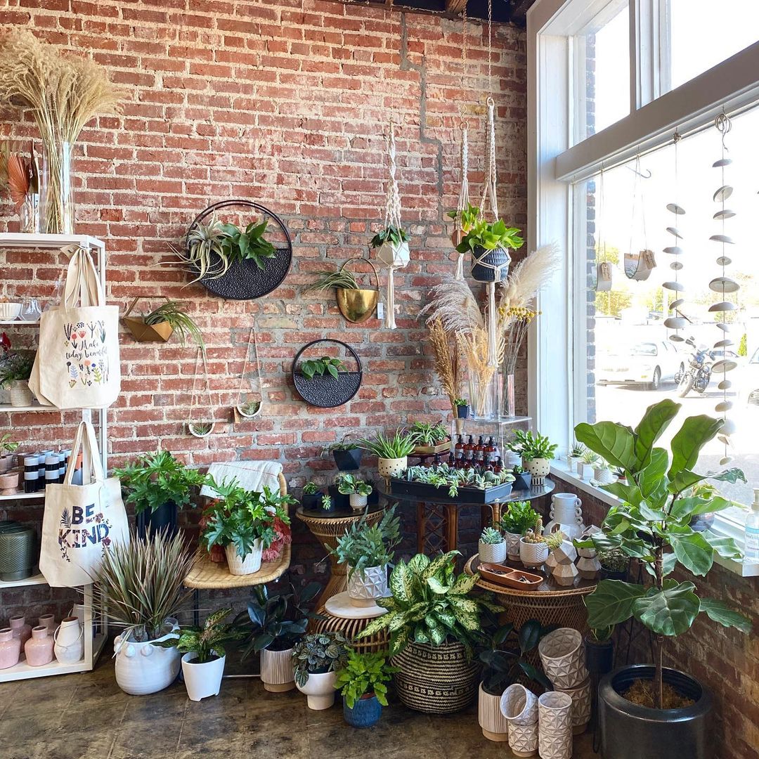 Vibrant interior of Everbloom Floral Studio & Shop located in Memphis, TN showcasing a variety of vases and green succulents in different sizes.