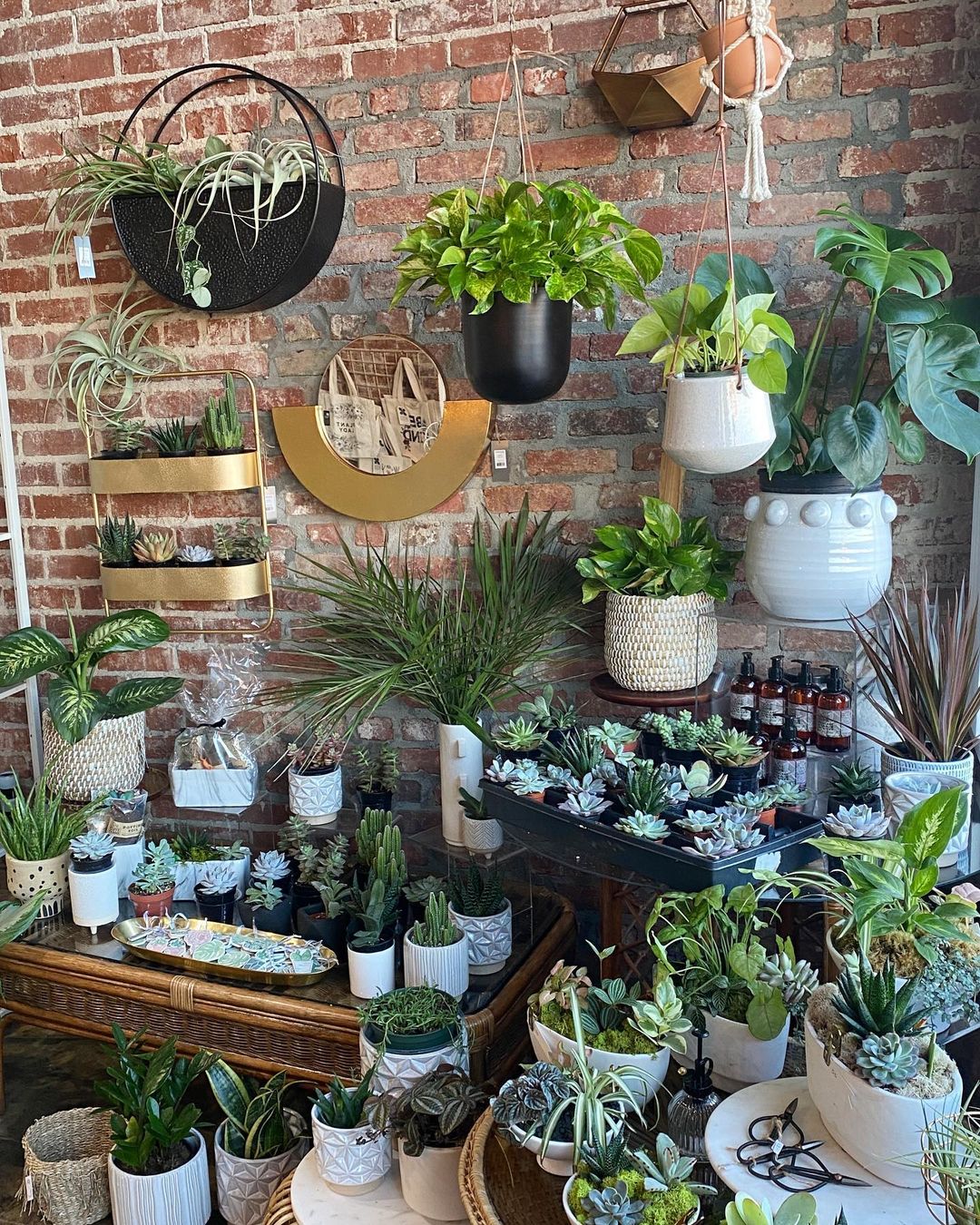 Vibrant interior of Everbloom Floral Studio & Shop located in Memphis, TN showcasing a variety of vases and green succulents in different sizes.