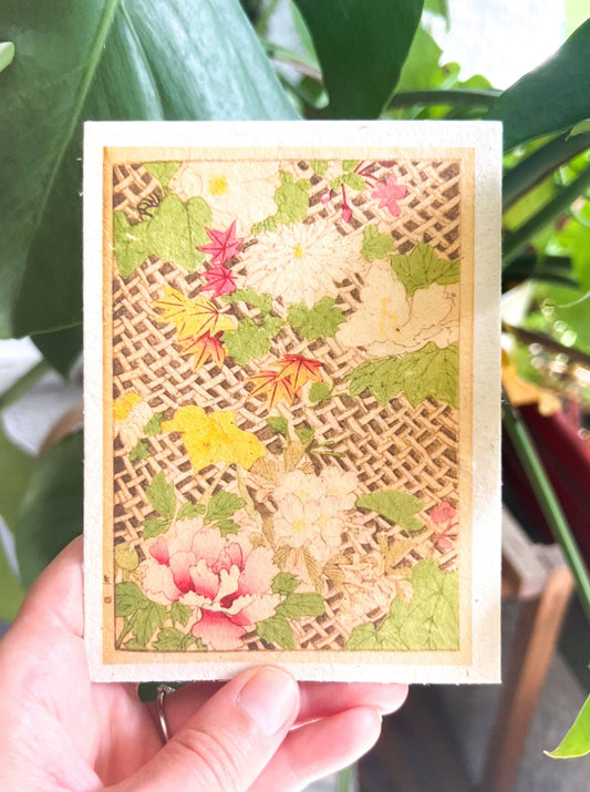 Plantable Seed Card || Zero Waste || Supports Women J36