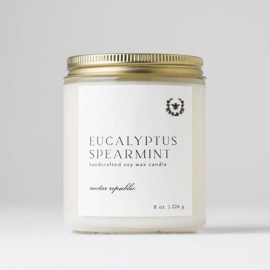 Eucalyptus + Spearmint : Tin Soy Candle ( winter spring )