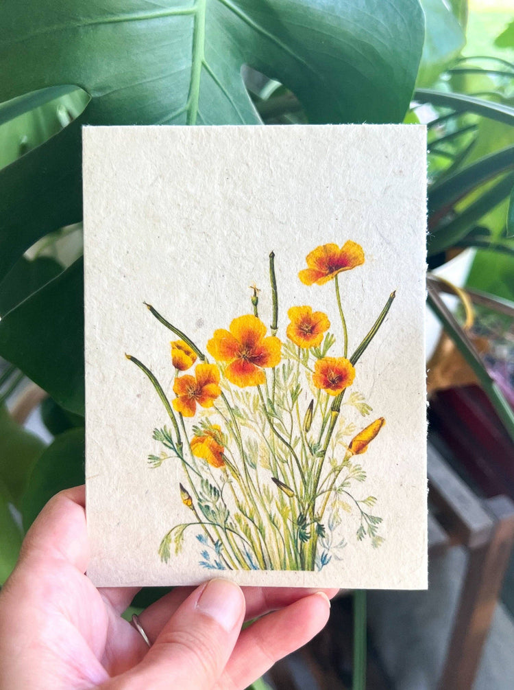 Plantable Seed Card || Zero Waste || Supports Women MVW8
