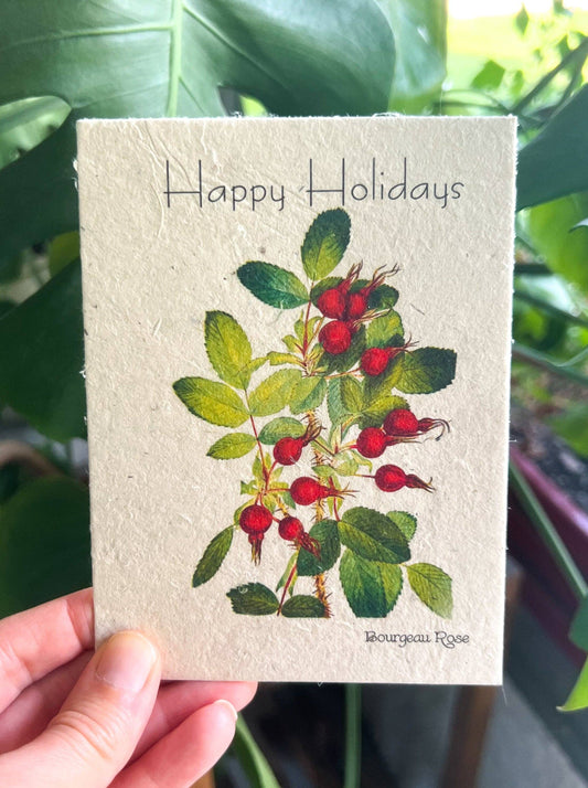 Plantable Seed Card || Zero Waste || Supports Women MVW55