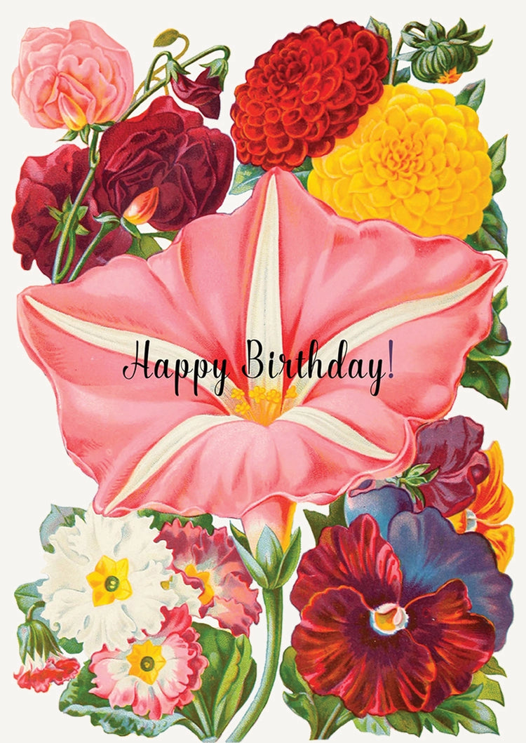 Happy Birthday! Card - P Flynn Design White