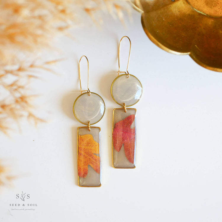 Modern Shape Oak Earrings