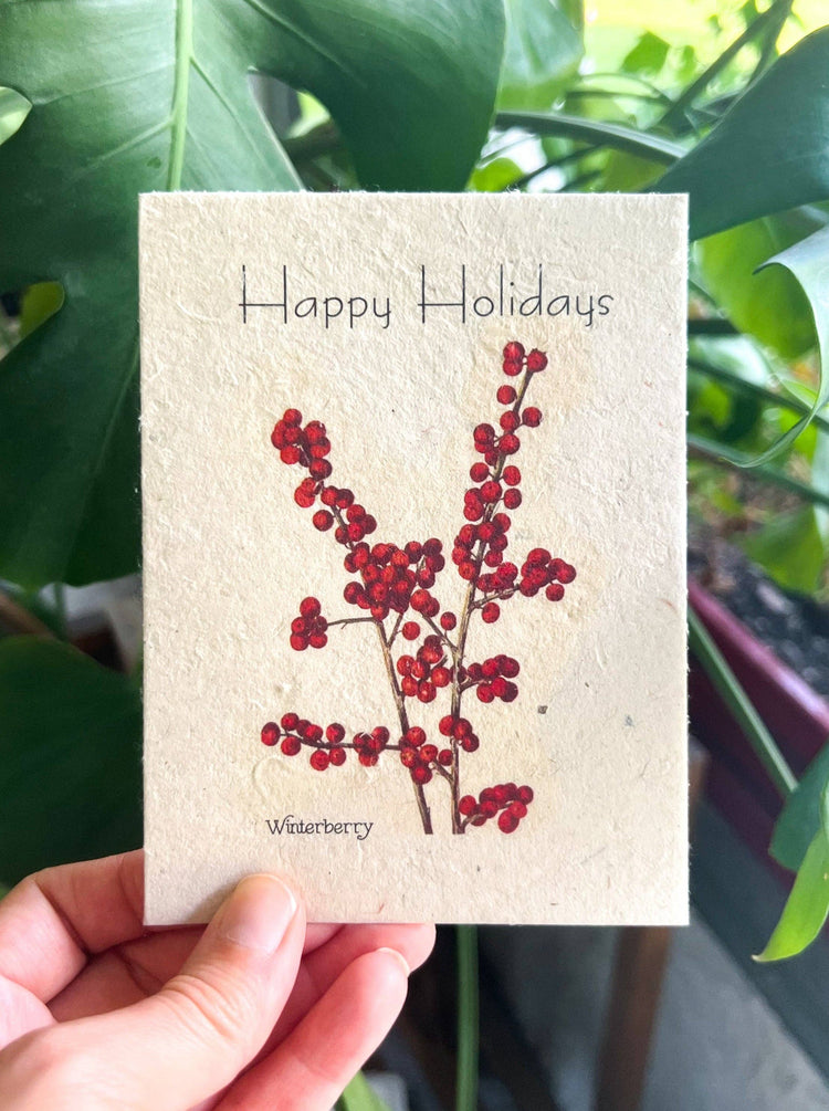 Plantable Seed Card || Zero Waste || Supports Women MVW57