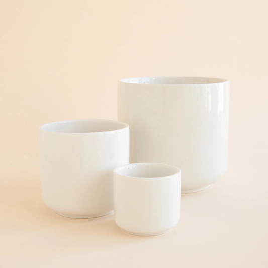 Charlie Pot Jungle Club White 4.5"