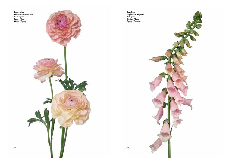 Flower Color Guide Book