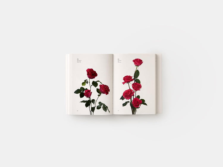 Flower Color Guide Book