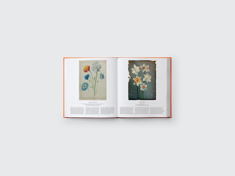 Flower Exploring The World In Bloom Book