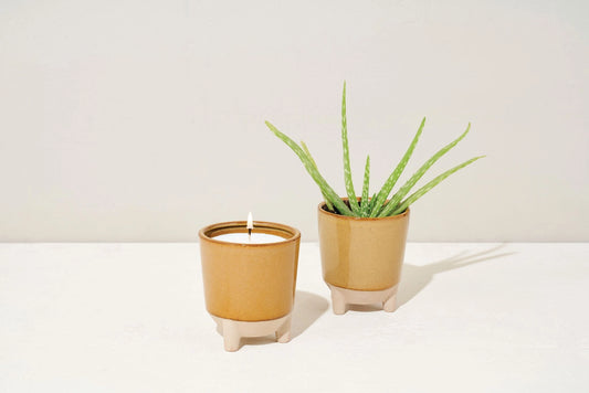 Glow & Grow Candle