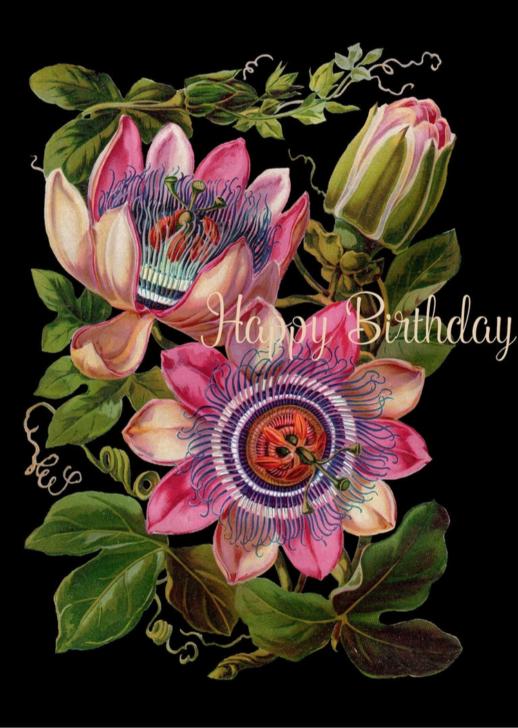 Happy Birthday Card P Flynn Design Passionflower