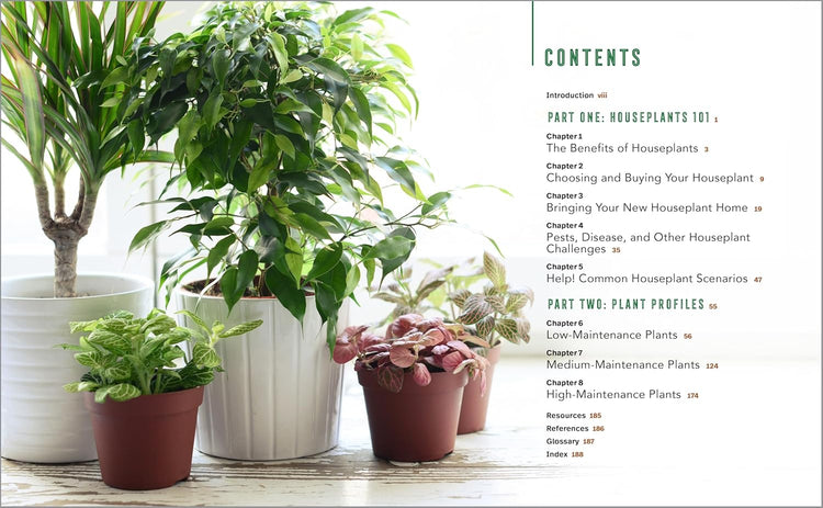 Houseplants for Beginners Book