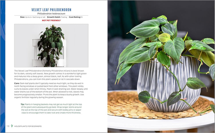 Houseplants for Beginners Book