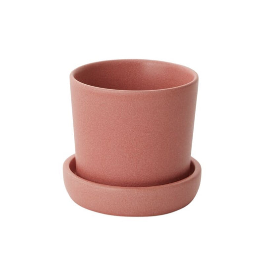 Watson Pot with Saucer Pink