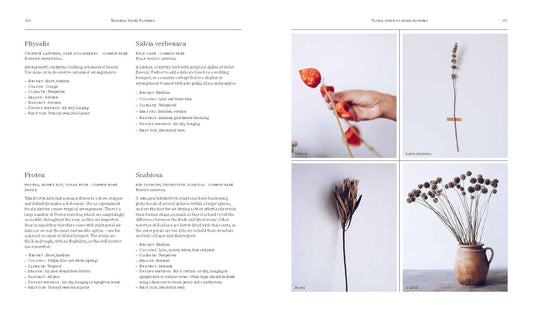 Modern Dried Flowers Book