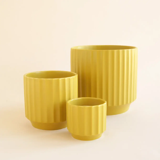 JCO 7" Jungle Club Ochre Pot