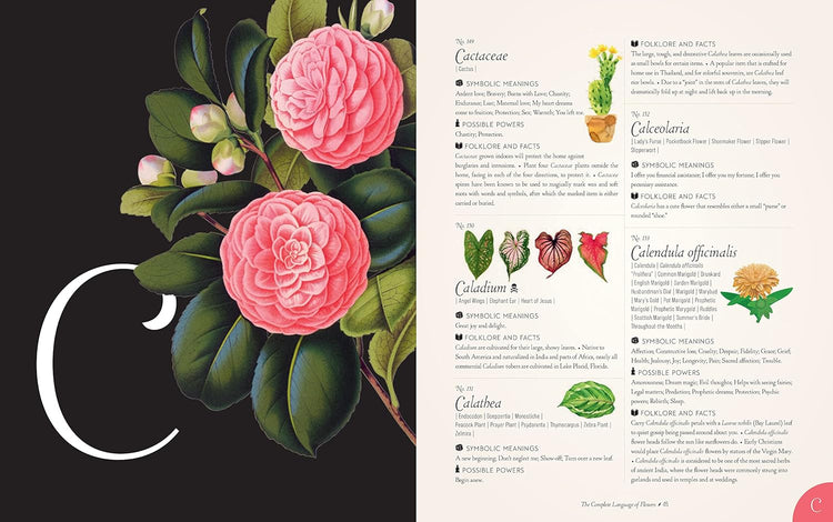 The Complete Language of Flowers Book