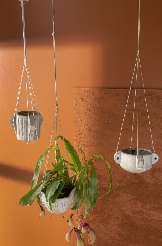 Three hanging planters with a plant against an orange wall