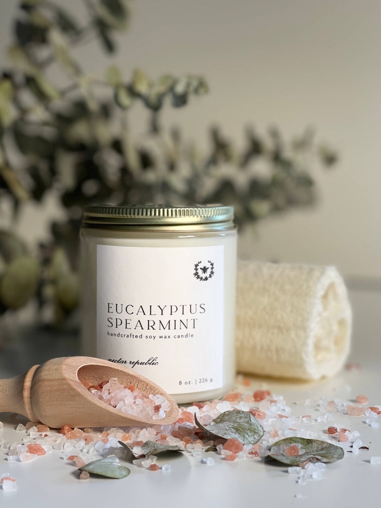 Eucalyptus + Spearmint : Tin Soy Candle ( winter spring )