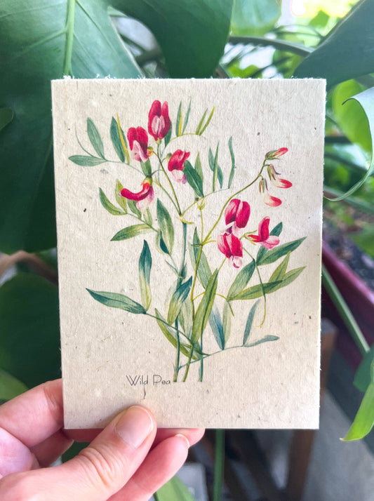 Plantable Seed Card || Zero Waste || Supports Women MVW18