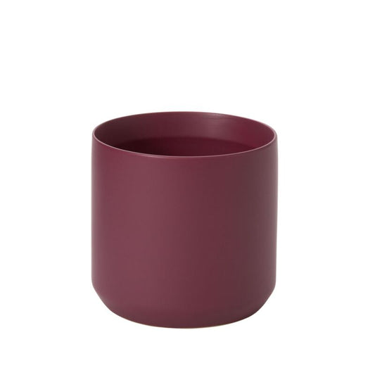 burgundy orchid cylindrical container on a white background
