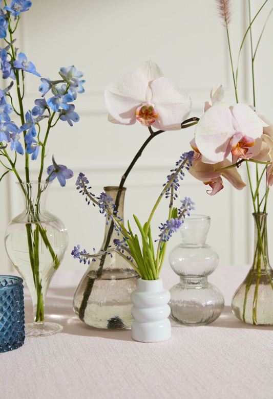 Vases with flowers on a light background